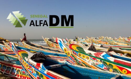 Un ringraziamento speciale a Dauda Mbup